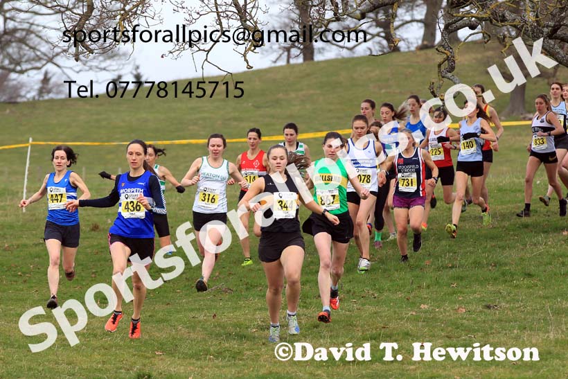 Senior Womens 2023 NEHL, Alnwick, Northumberland. Photo: David T. Hewitson/Sports for All Pics